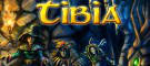 Tibia